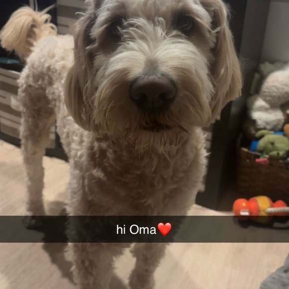 Meet your Posher, Nicole - Picture 7 of 9